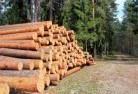 Cobawtree-felling-services-31.jpg; ?>